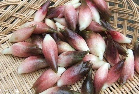 紫姜有什么功效與作用 紫姜的食用方法 紫姜有什么功效與作用 紫姜的食用方法