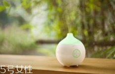 香薰什么味道好聞？佛系女孩推薦草木香