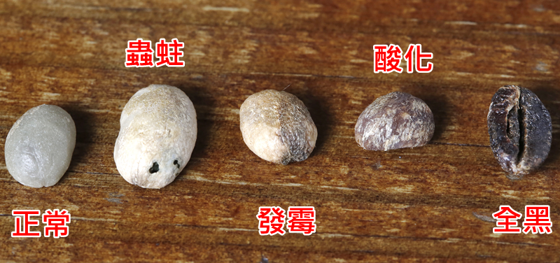 怎么判斷咖啡豆的好壞與新鮮度 怎么判斷咖啡豆的好壞與新鮮度