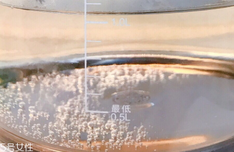 養(yǎng)生壺怎么用 四種燉煮用法 養(yǎng)生壺怎么用 四種燉煮用法