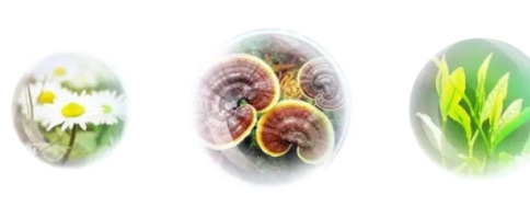 香蒲麗防曬霜怎么樣？從防曬值和成分說開去