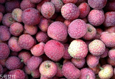 雞嗉子果怎么吃？雞嗉子果的功效和作用