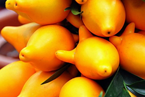 黃金果怎么吃？黃金果能吃嗎？