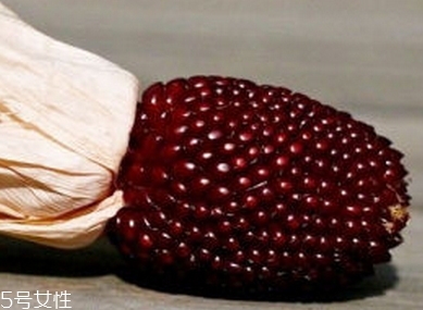 草莓玉米多少錢一斤？酷似草莓的玉米