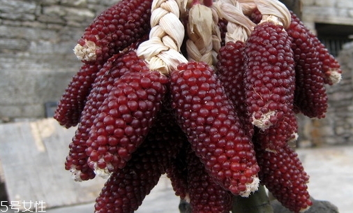 草莓玉米怎么吃？觀賞和食用雙重價(jià)值