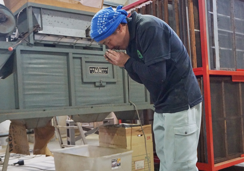 日本茶葉哪個好 日本茶葉茶種介紹 日本茶葉哪個好 日本茶葉茶種介紹