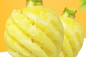 泰國(guó)迷你小菠蘿多少錢(qián)一斤？mini小菠蘿火遍泰國(guó)