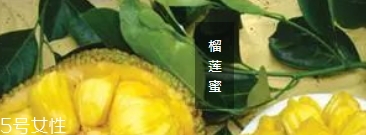 榴蓮蜜哪里能吃？哪里不能吃