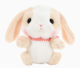 AMUSE玩偶是哪個國家的牌子？東京御宅族文化商品