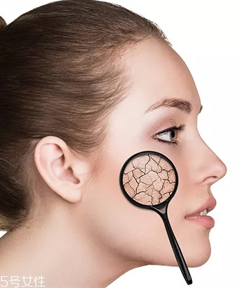 爽膚水要用化妝棉嗎？用手涂爽膚水vs化妝棉