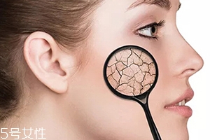 爽膚水要涂多少合適？來看看爽膚水的用量