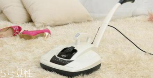 除螨儀有用嗎？洗衣粉能去除螨蟲