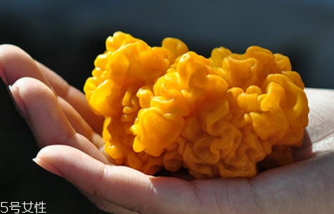 孕婦可以吃金耳嗎？哪些人不適合吃金耳