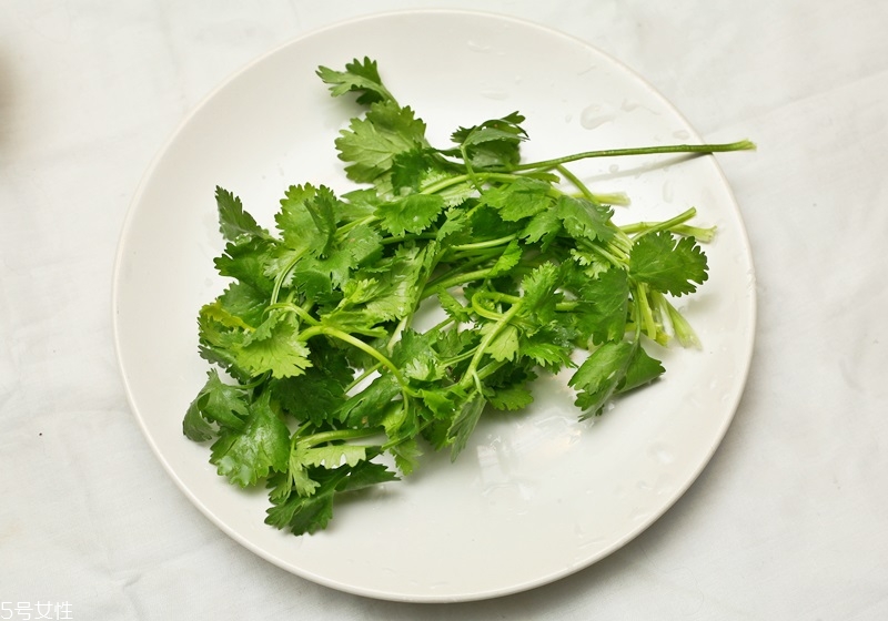 大腸面線怎么做好吃 湯頭烹煮的技巧 大腸面線怎么做好吃 湯頭烹煮的技巧