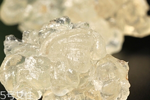 雪燕怎么清洗？雪燕怎么挑雜質(zhì)