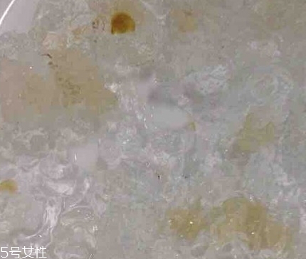 雪燕和桃膠能一起燉嗎？