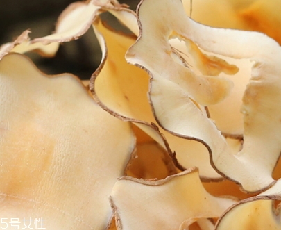 海底椰怎么吃？海底椰的做法