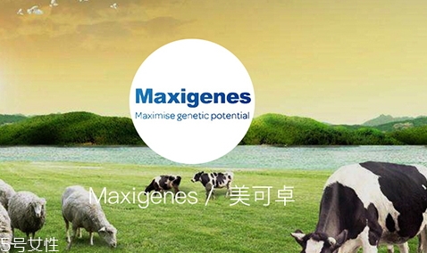 藍胖子奶粉和德運奶粉哪個好？