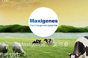 藍(lán)胖子奶粉適合什么人？成人可以喝嗎？