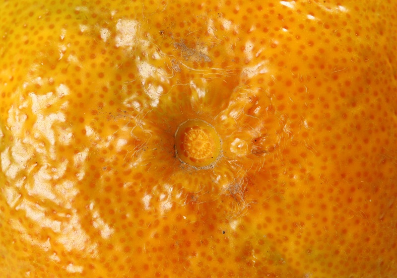 橘子怎么挑選甜的 多汁橘子怎么挑 橘子怎么挑選甜的 多汁橘子怎么挑