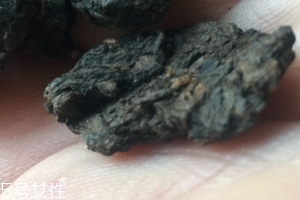 老茶頭怎么泡？泡錯(cuò)了就不好喝了