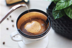 泡咖啡多少度的水溫 85度的水沖咖啡最好 泡咖啡多少度的水溫 85度的水沖咖啡最好