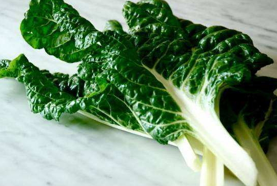 牛皮菜是發(fā)物嗎？牛皮菜有毒嗎