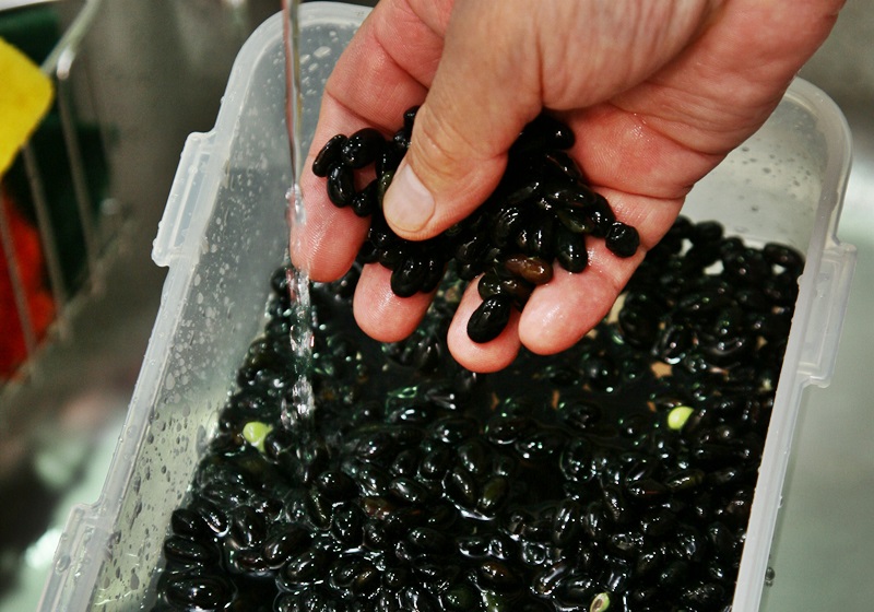 黑豆醬油的做法 在家也能自制 黑豆醬油的做法 在家也能自制