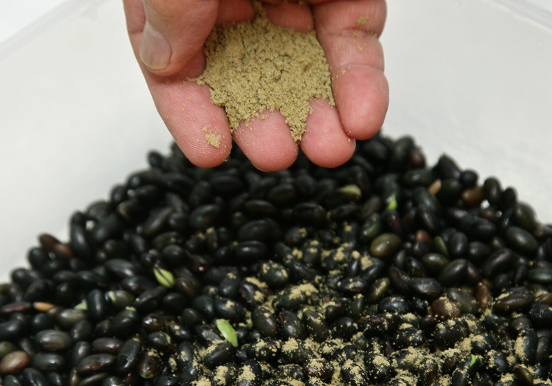 黑豆醬油的做法 在家也能自制 黑豆醬油的做法 在家也能自制