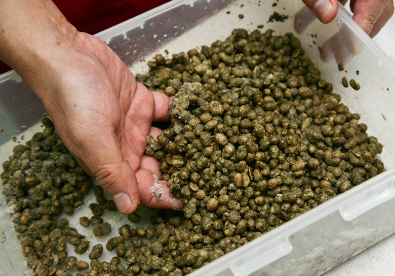 黑豆醬油的做法 在家也能自制 黑豆醬油的做法 在家也能自制