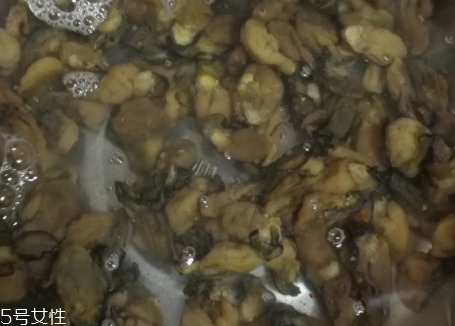 牡蠣干可以生吃嗎 吃法推薦 牡蠣干可以生吃嗎 吃法推薦