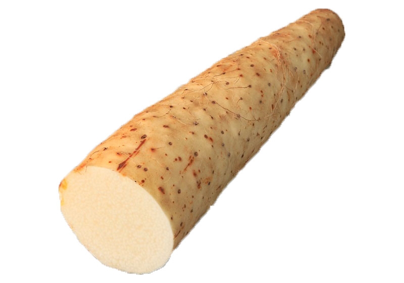 山藥怎么去皮不會(huì)手癢 山藥挑選靠4招 山藥怎么去皮不會(huì)手癢 山藥挑選靠4招