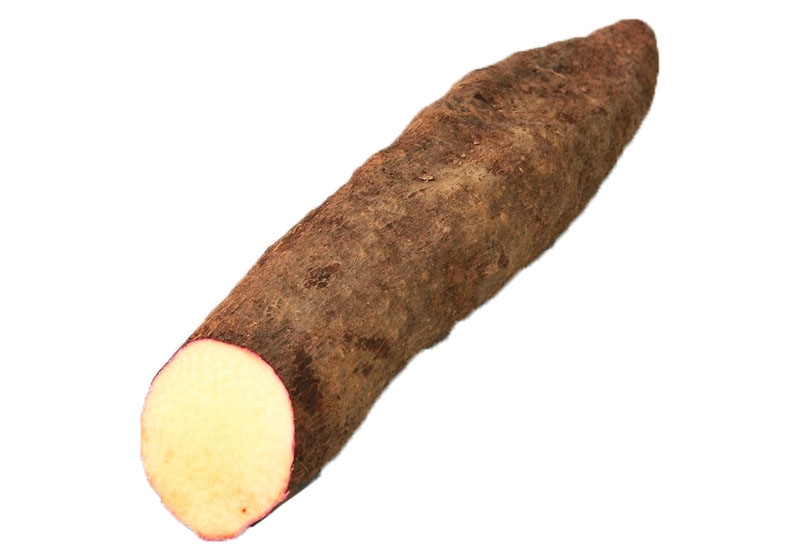 山藥怎么去皮不會(huì)手癢 山藥挑選靠4招 山藥怎么去皮不會(huì)手癢 山藥挑選靠4招