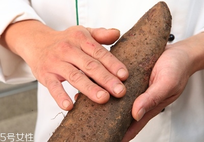 山藥怎么去皮不會(huì)手癢 山藥挑選靠4招 山藥怎么去皮不會(huì)手癢 山藥挑選靠4招