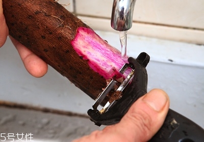 山藥怎么去皮不會(huì)手癢 山藥挑選靠4招 山藥怎么去皮不會(huì)手癢 山藥挑選靠4招