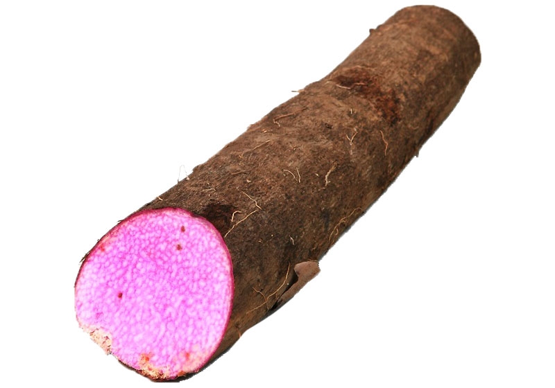 山藥怎么去皮不會(huì)手癢 山藥挑選靠4招 山藥怎么去皮不會(huì)手癢 山藥挑選靠4招