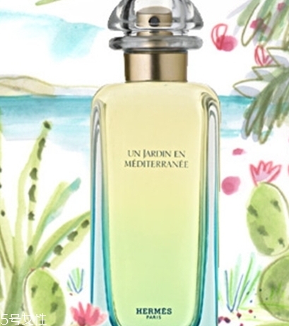 dior迪奧香水和愛馬仕香水哪個(gè)好？