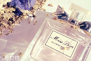 dior迪奧香水和范思哲香水哪個(gè)好？