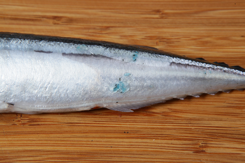 秋刀魚(yú)怎么處理？秋刀魚(yú)怎么挑選