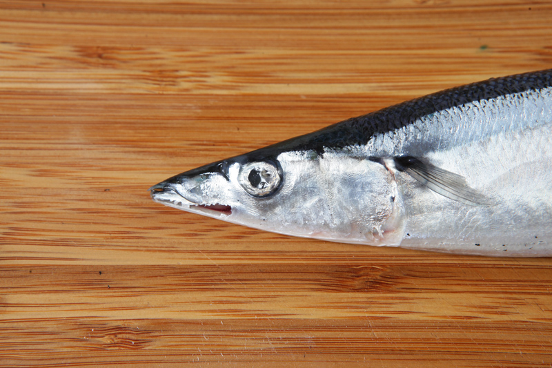 秋刀魚(yú)怎么處理？秋刀魚(yú)怎么挑選
