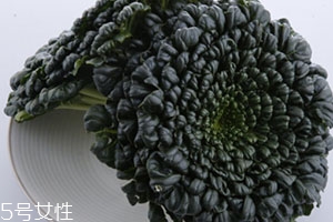 塔菜多少錢一斤？塔菜又稱菊花菜