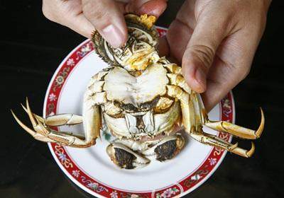 陽澄湖大閘蟹怎么吃？食陽澄湖大閘蟹注意事項(xiàng)