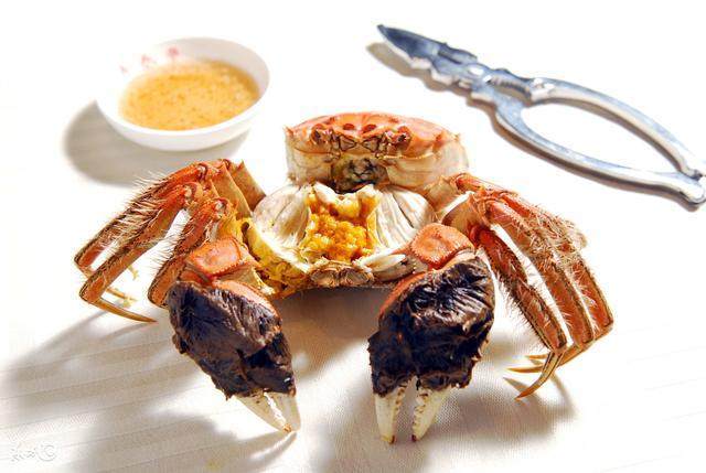 陽澄湖大閘蟹怎么吃？食陽澄湖大閘蟹注意事項(xiàng)