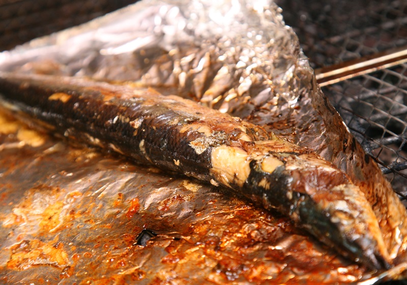 燒烤技巧及注意事項(xiàng) 再也不怕烤焦 燒烤技巧及注意事項(xiàng) 再也不怕烤焦