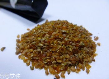 黑苦蕎茶苦嗎？苦蕎有苦卻不苦