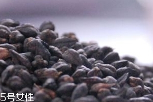 黑苦蕎茶上火嗎？蒸煮法苦蕎茶不上火