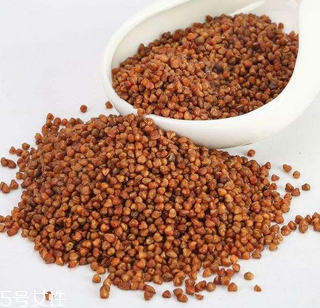 黑苦蕎茶上火嗎？蒸煮法苦蕎茶不上火