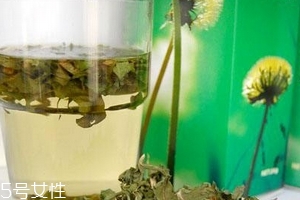 蒲公英茶哪些人不宜喝？這三種人要避開