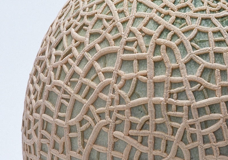 哈蜜瓜怎么選 哈蜜瓜怎么保存 哈蜜瓜怎么選 哈蜜瓜怎么保存