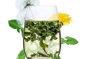 蒲公英茶哪個(gè)牌子好？大牌子值得信賴